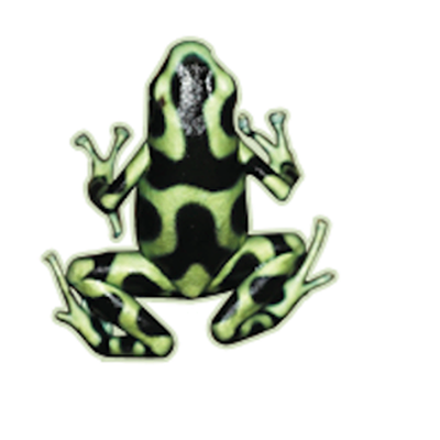 Friends of Guyana (FROG)