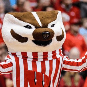 The University Pipeline